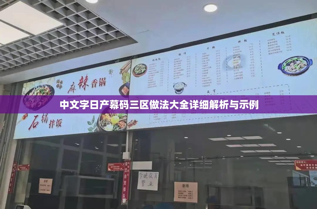 中文字日产幕码三区做法大全详细解析与示例