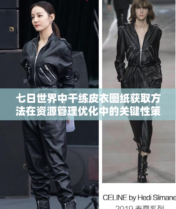 七日世界中干练皮衣图纸获取方法在资源管理优化中的关键性策略