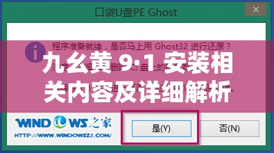 九幺黄 9·1 安装相关内容及详细解析