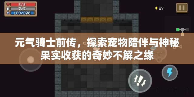 元气骑士前传，探索宠物陪伴与神秘果实收获的奇妙不解之缘