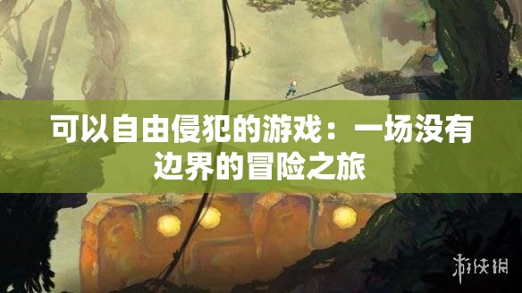 可以自由侵犯的游戏：一场没有边界的冒险之旅