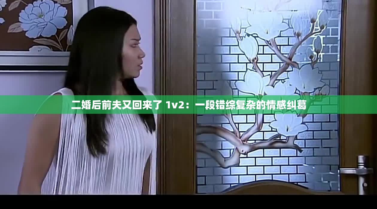 二婚后前夫又回来了 1v2：一段错综复杂的情感纠葛
