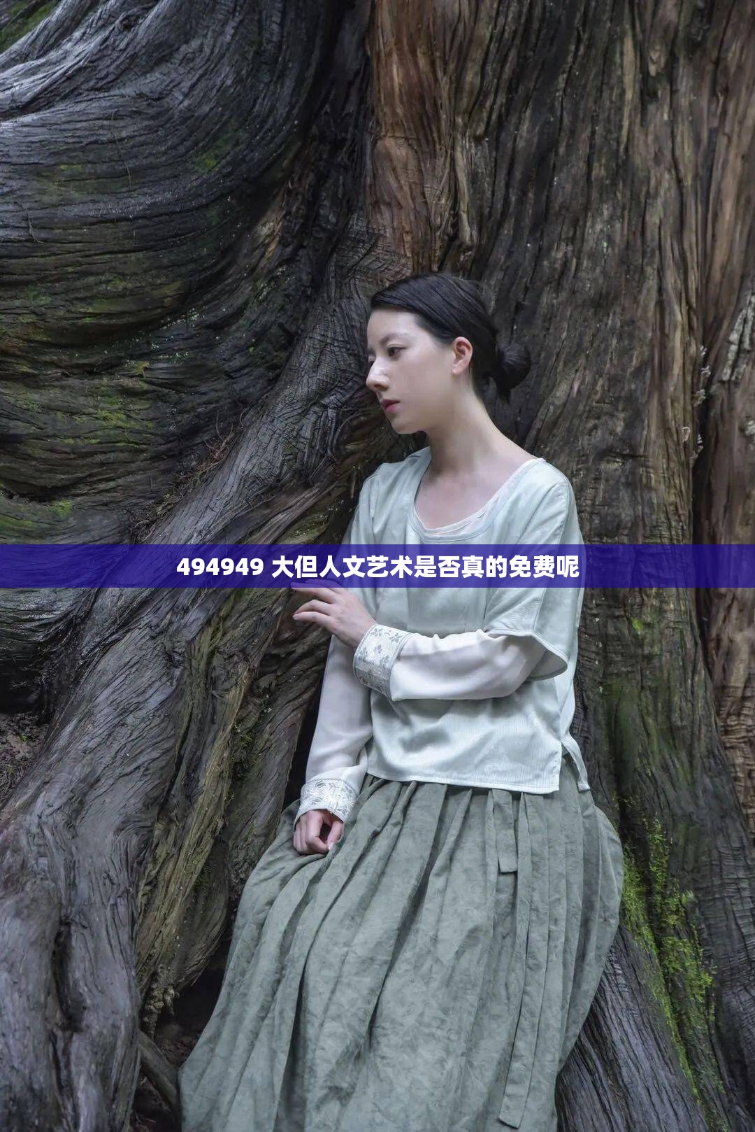 494949 大但人文艺术是否真的免费呢