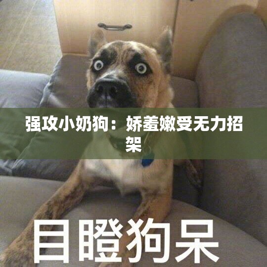 强攻小奶狗：娇羞嫩受无力招架