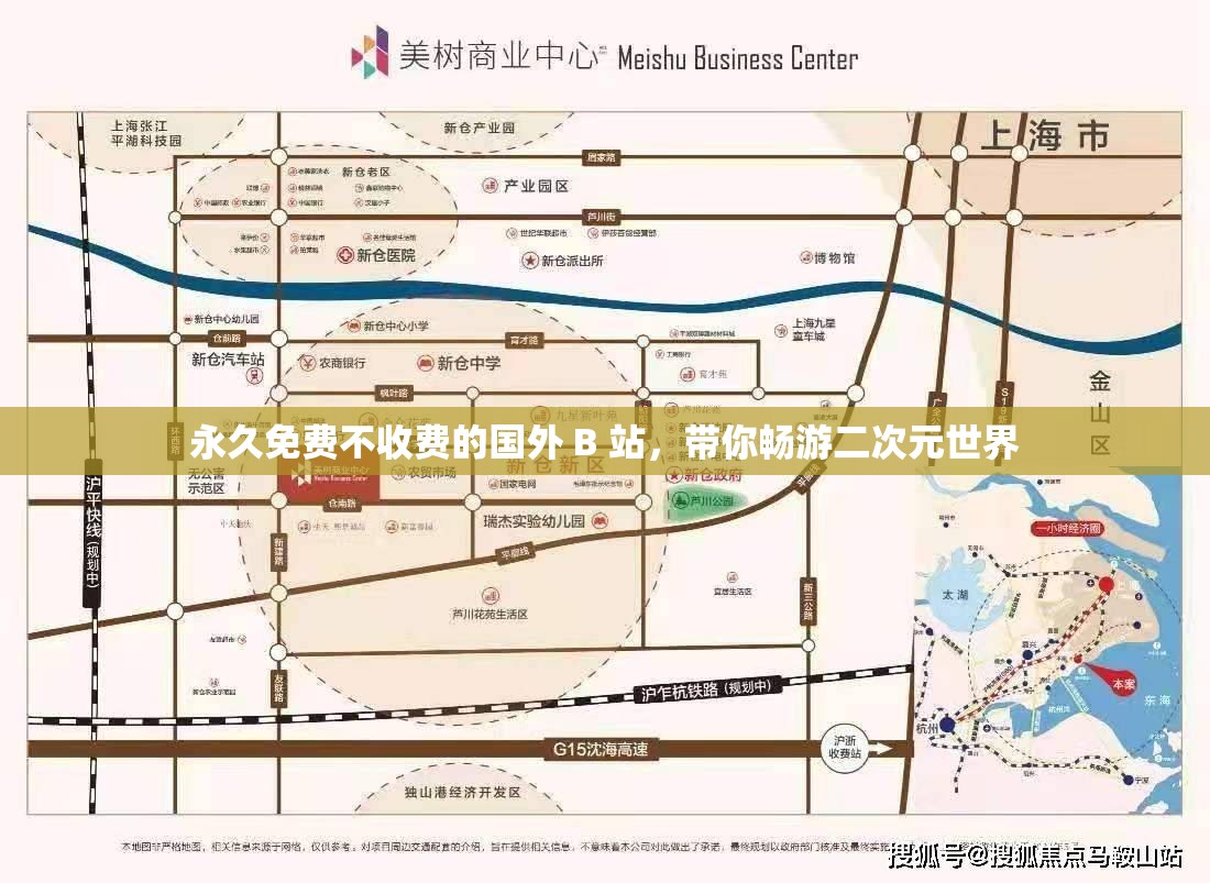 永久免费不收费的国外 B 站，带你畅游二次元世界