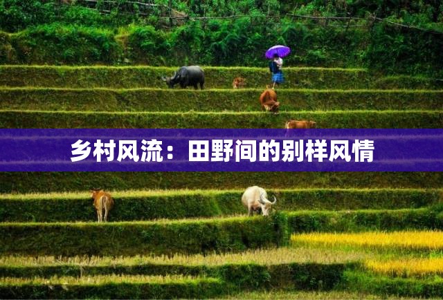 乡村风流：田野间的别样风情