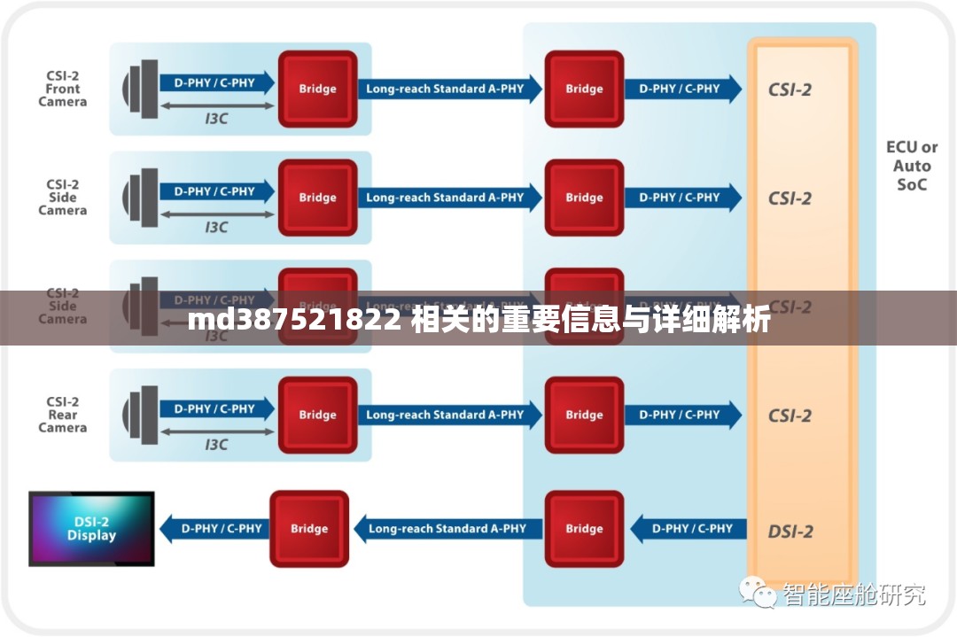 md387521822 相关的重要信息与详细解析