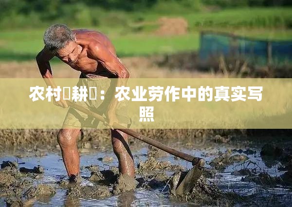 农村屌耕屄：农业劳作中的真实写照
