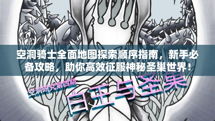 空洞骑士全面地图探索顺序指南，新手必备攻略，助你高效征服神秘圣巢世界！