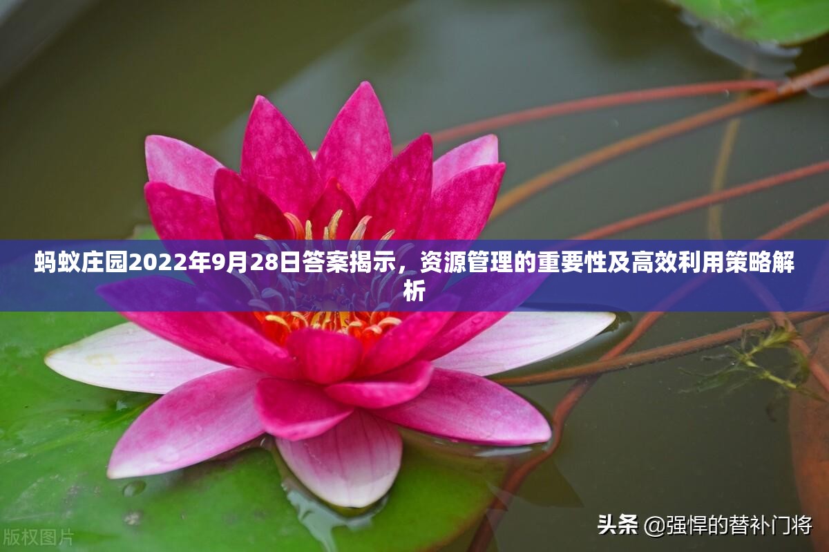蚂蚁庄园2022年9月28日答案揭示，资源管理的重要性及高效利用策略解析