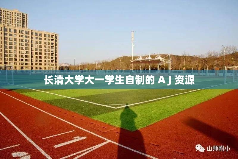 长清大学大一学生自制的 A J 资源