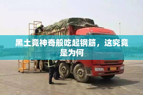 黑土竟神奇般吃起钢筋，这究竟是为何