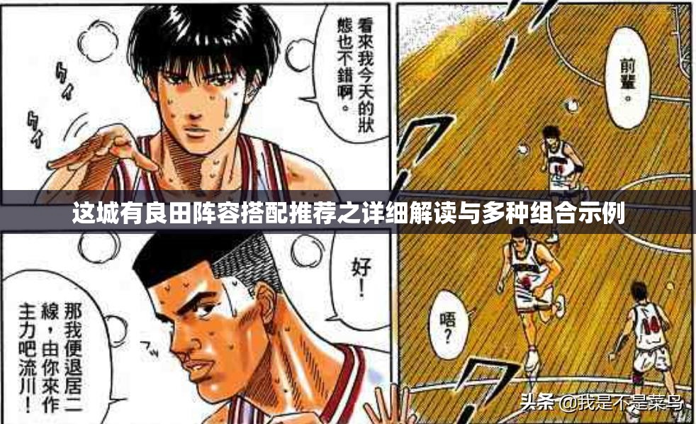 这城有良田阵容搭配推荐之详细解读与多种组合示例