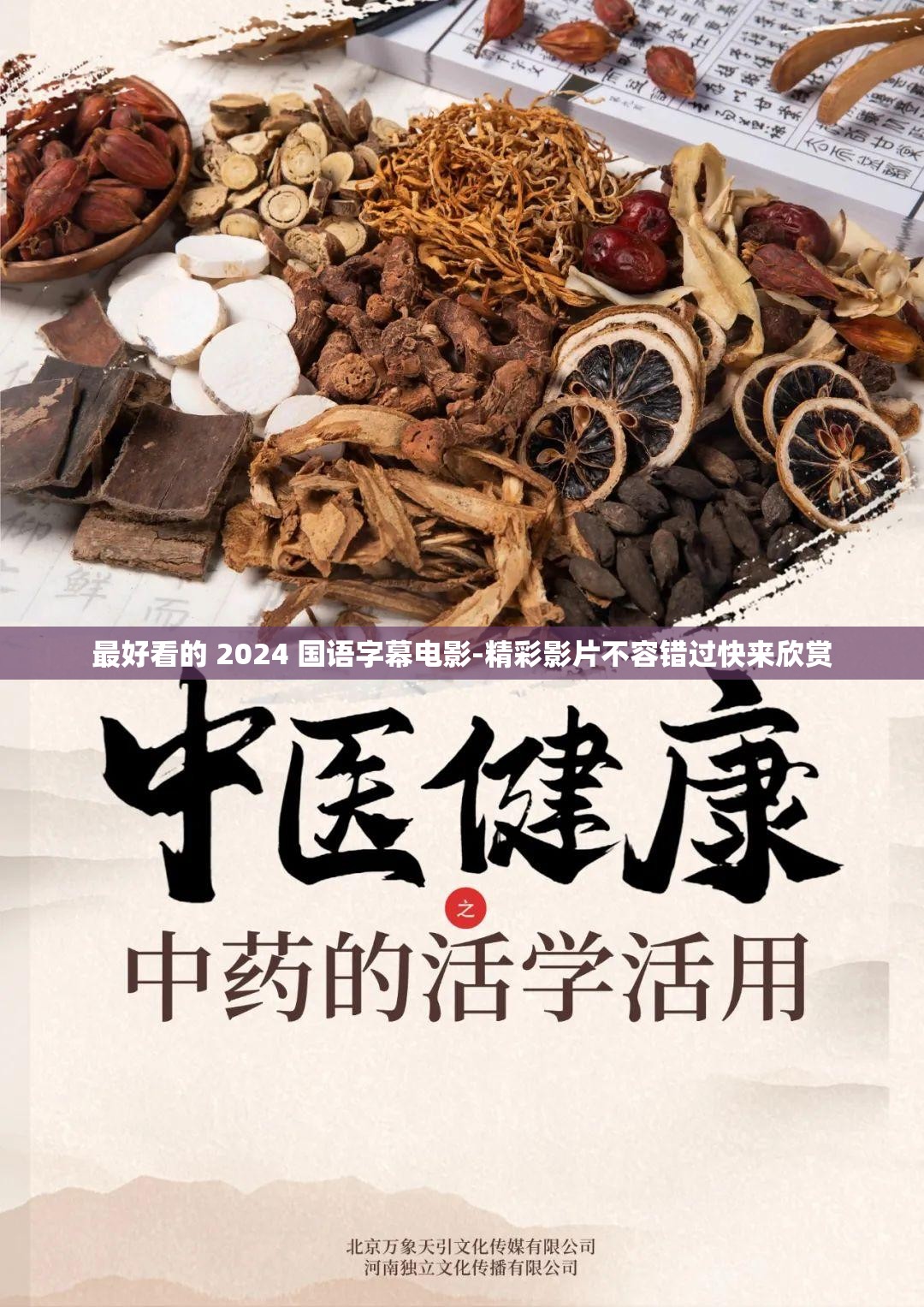 最好看的 2024 国语字幕电影-精彩影片不容错过快来欣赏