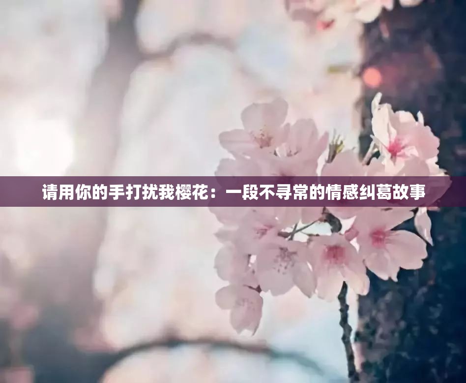 请用你的手打扰我樱花：一段不寻常的情感纠葛故事