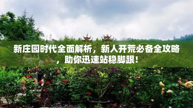 新庄园时代全面解析，新人开荒必备全攻略，助你迅速站稳脚跟！