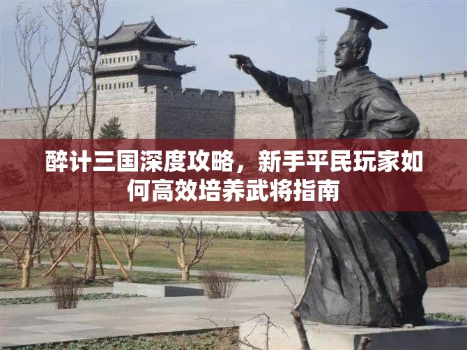 醉计三国深度攻略，新手平民玩家如何高效培养武将指南