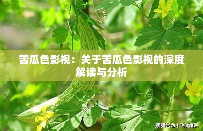 苦瓜色影视：关于苦瓜色影视的深度解读与分析
