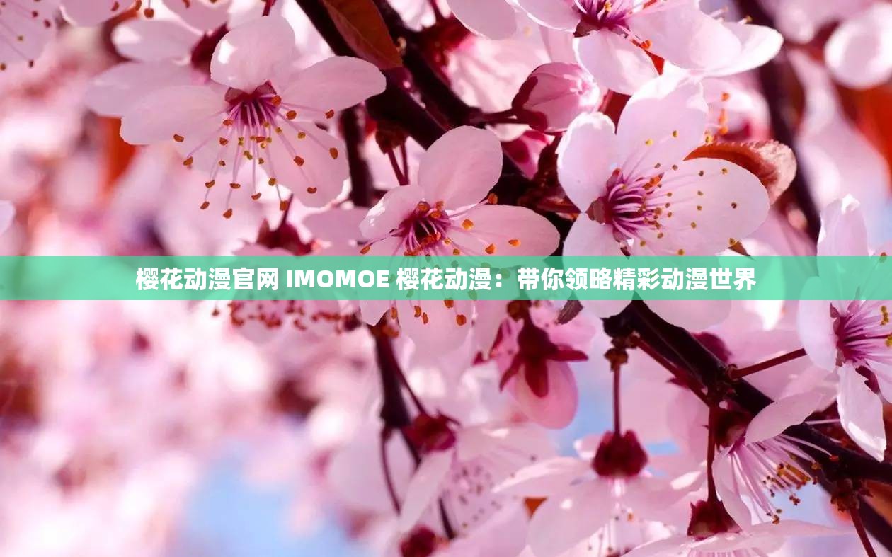 樱花动漫官网 IMOMOE 樱花动漫：带你领略精彩动漫世界