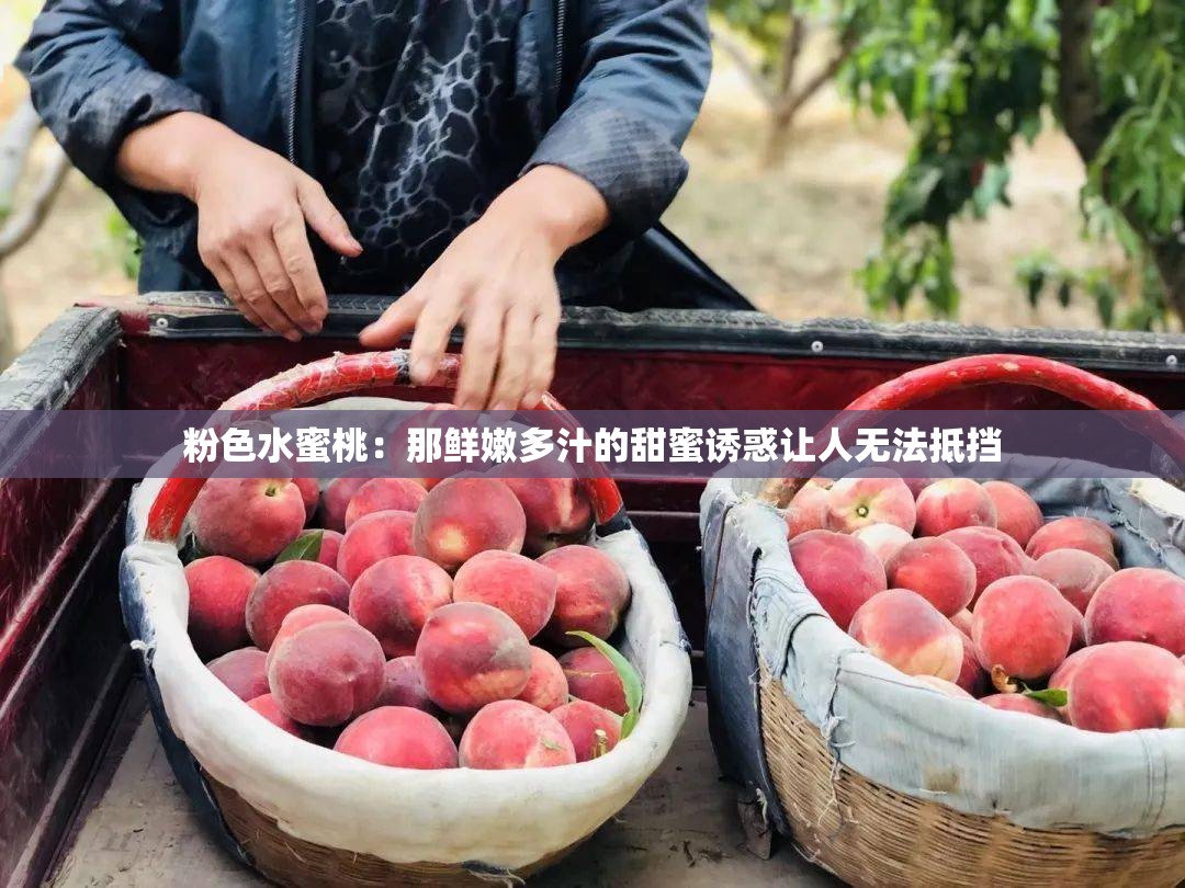 粉色水蜜桃：那鲜嫩多汁的甜蜜诱惑让人无法抵挡