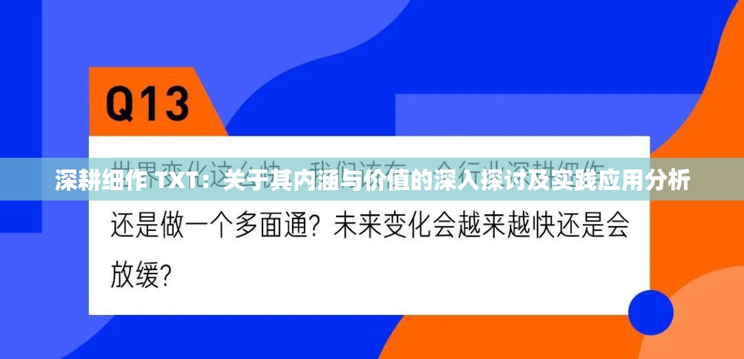 深耕细作 TXT：关于其内涵与价值的深入探讨及实践应用分析