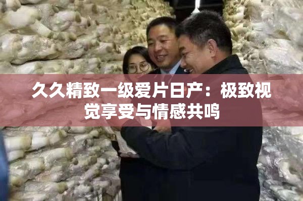 久久精致一级爱片日产：极致视觉享受与情感共鸣