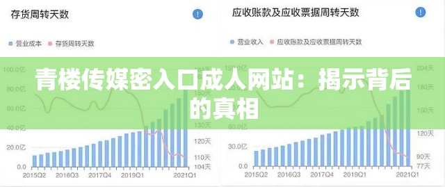 青楼传媒密入口成人网站：揭示背后的真相