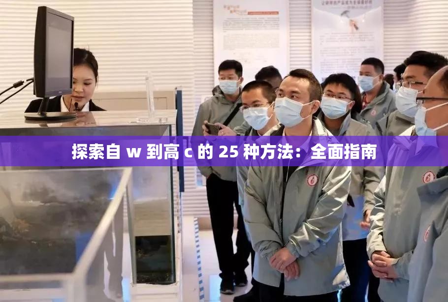 探索自 w 到高 c 的 25 种方法：全面指南