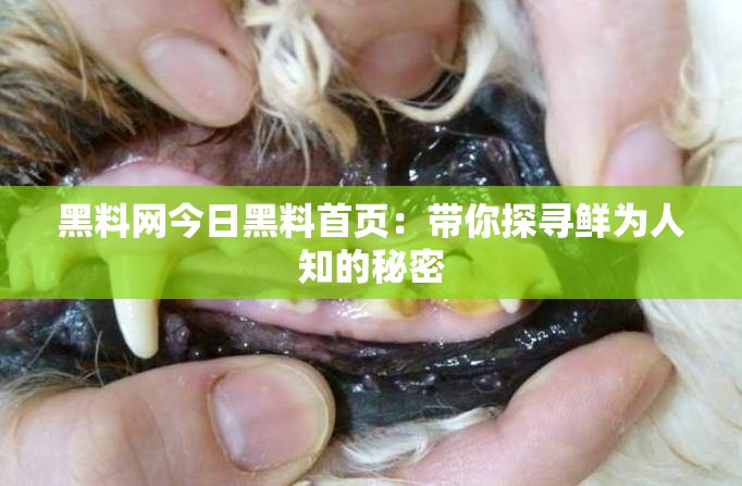 黑料网今日黑料首页：带你探寻鲜为人知的秘密