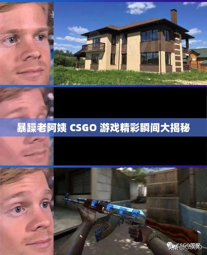 暴躁老阿姨 CSGO 游戏精彩瞬间大揭秘