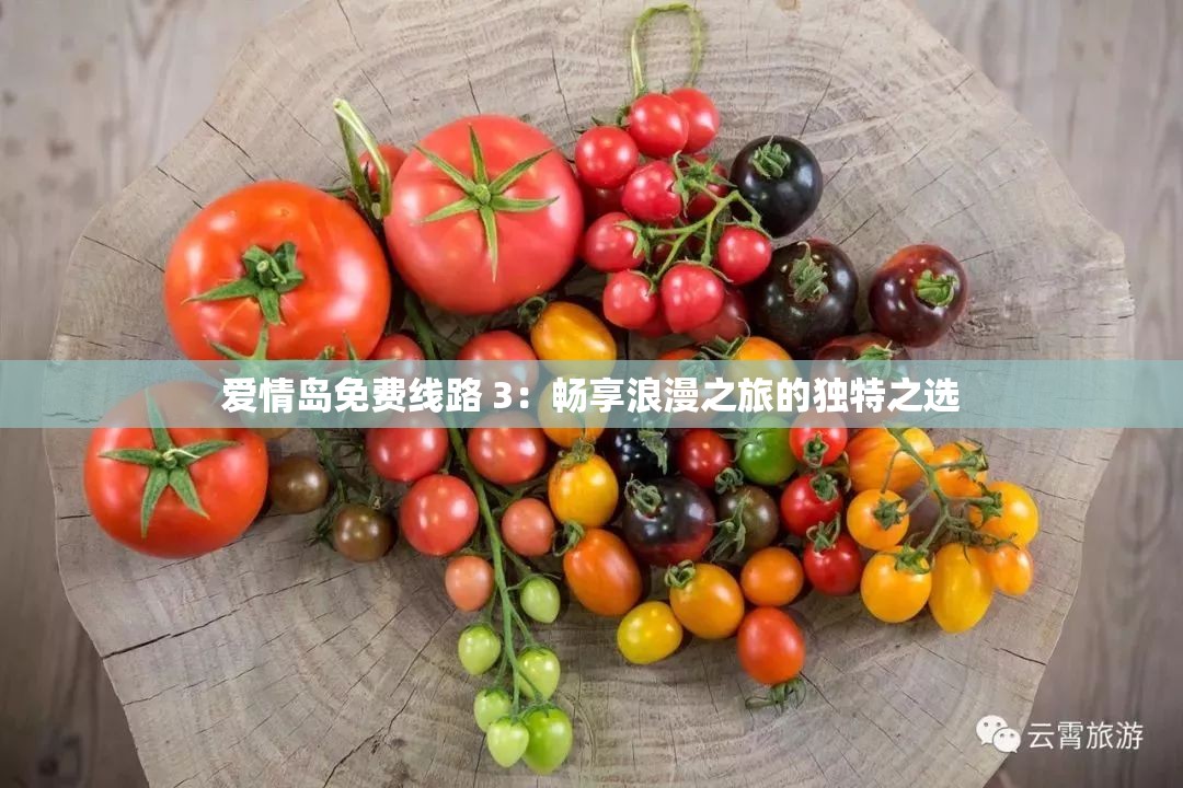 爱情岛免费线路 3：畅享浪漫之旅的独特之选