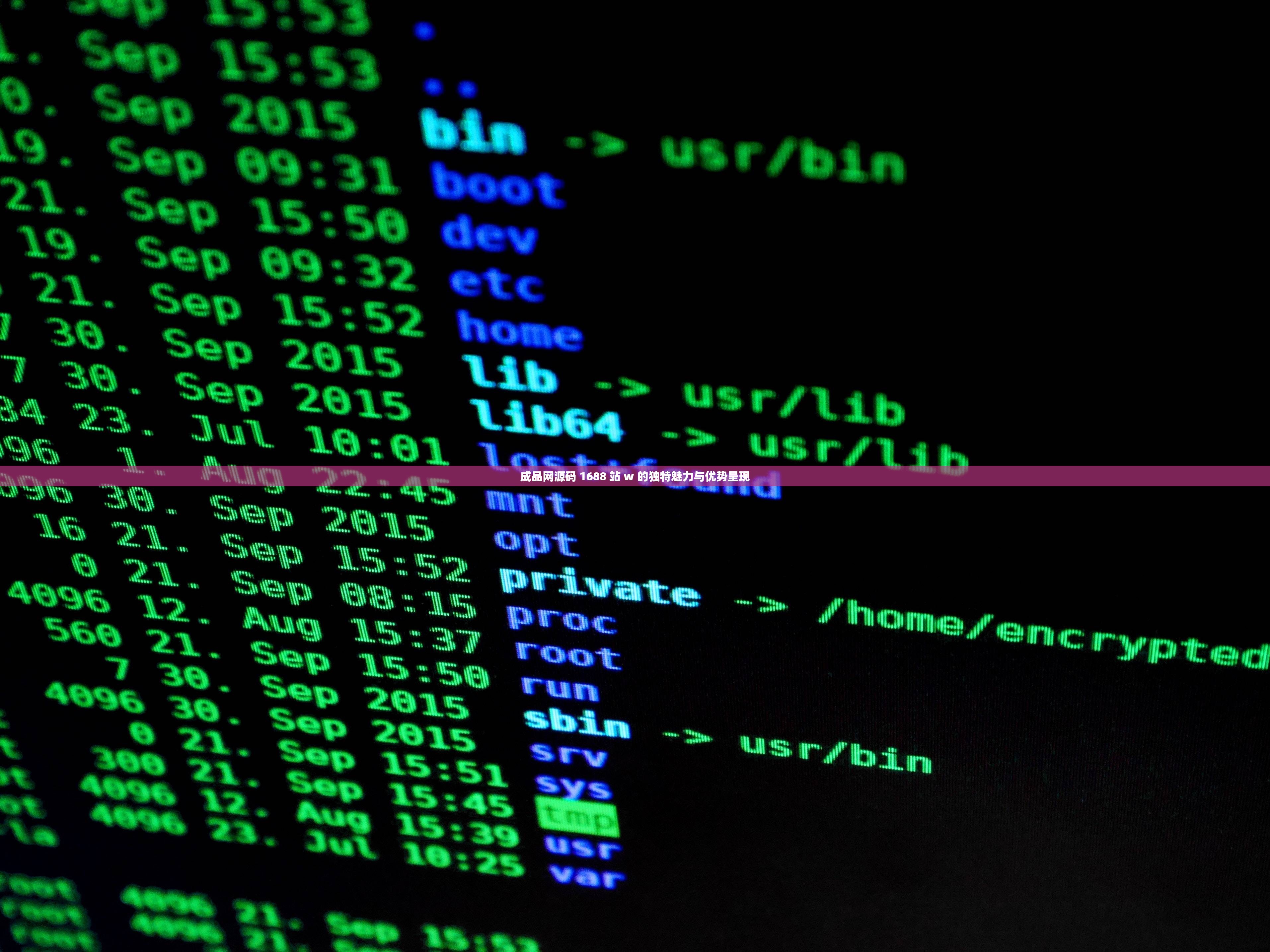 成品网源码 1688 站 w 的独特魅力与优势呈现