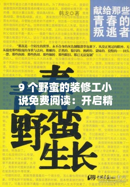 9 个野蛮的装修工小说免费阅读：开启精彩阅读之旅