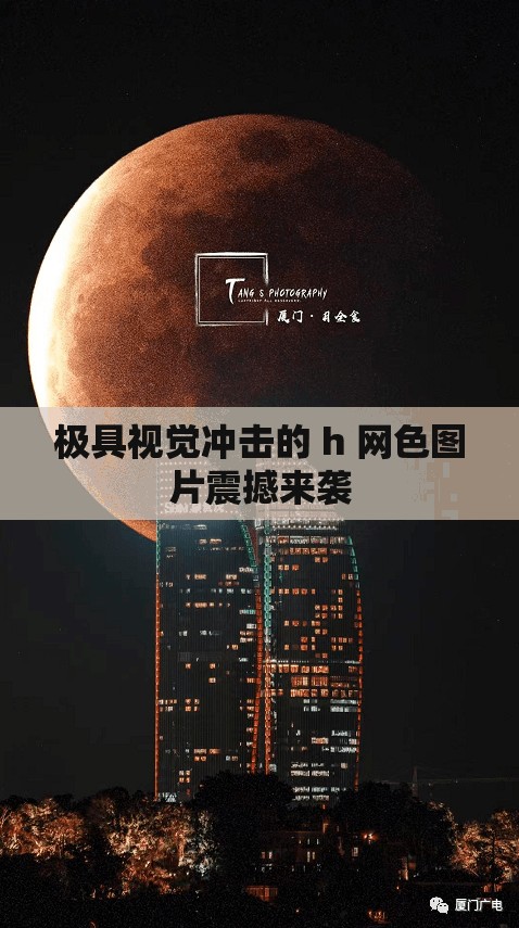 极具视觉冲击的 h 网色图片震撼来袭