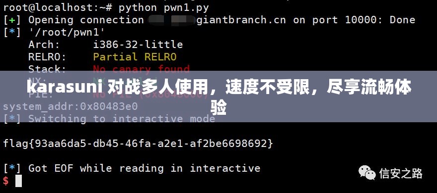 karasuni 对战多人使用，速度不受限，尽享流畅体验