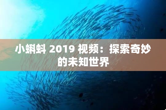 小蝌蚪 2019 视频：探索奇妙的未知世界