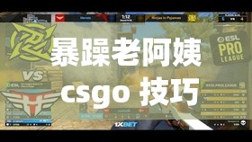 暴躁老阿姨 csgo 技巧：带你领略不一样的游戏玩法与策略