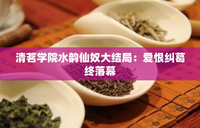 清茗学院水韵仙奴大结局：爱恨纠葛终落幕