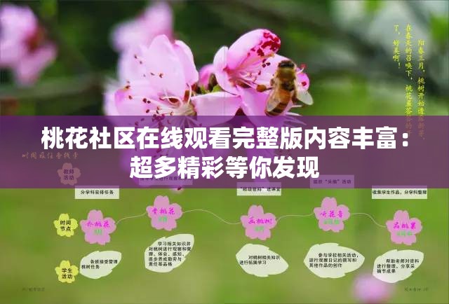 桃花社区在线观看完整版内容丰富：超多精彩等你发现