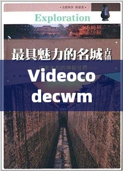 Videocodecwmvideodecoder 的魅力：探索其无限可能