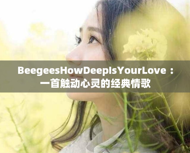 BeegeesHowDeepIsYourLove ：一首触动心灵的经典情歌