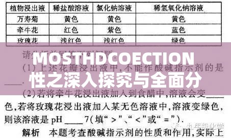 MOSTHDCOECTION 性之深入探究与全面分析