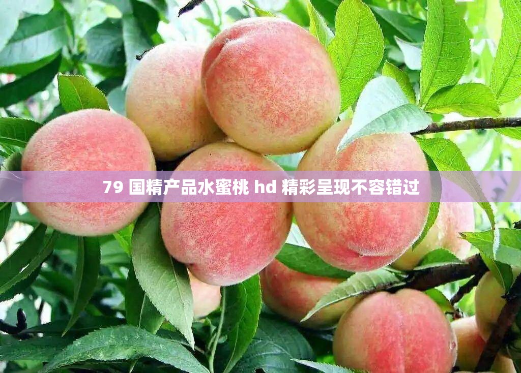 79 国精产品水蜜桃 hd 精彩呈现不容错过