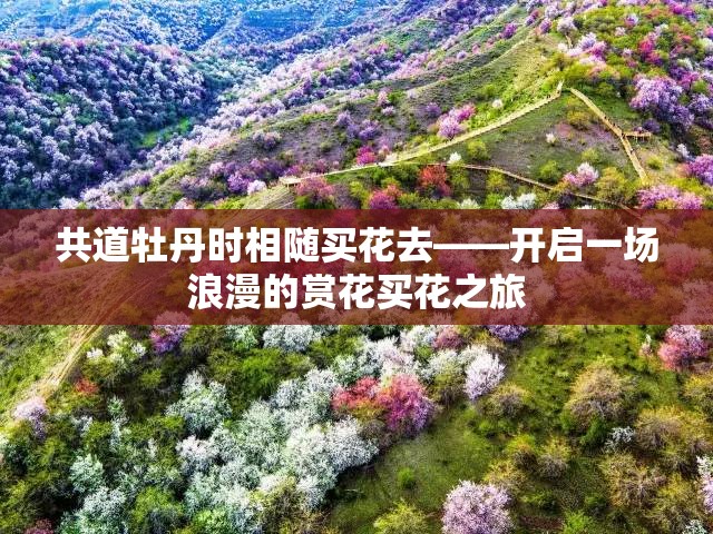 共道牡丹时相随买花去——开启一场浪漫的赏花买花之旅