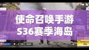 使命召唤手游S36赛季海岛风光获取攻略及高效资源管理策略