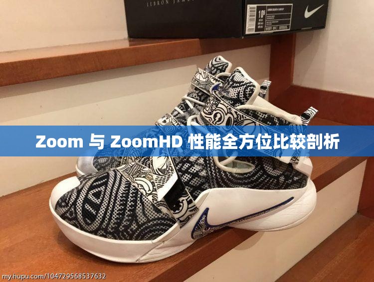 Zoom 与 ZoomHD 性能全方位比较剖析