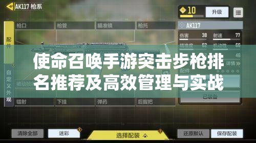 使命召唤手游突击步枪排名推荐及高效管理与实战使用策略