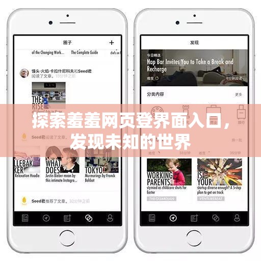 探索羞羞网页登界面入口，发现未知的世界