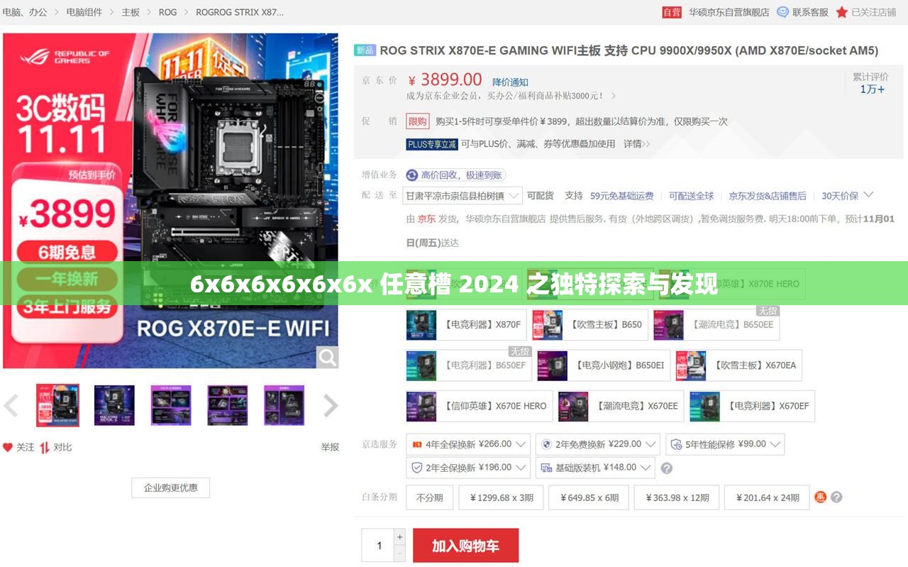 6x6x6x6x6x6x 任意槽 2024 之独特探索与发现