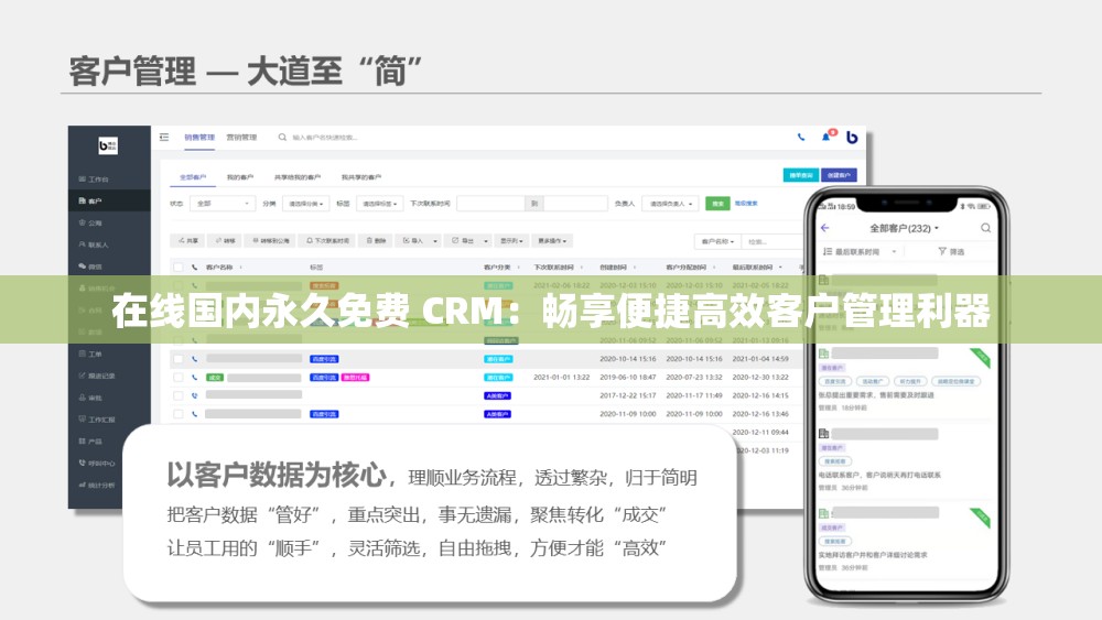 在线国内永久免费 CRM：畅享便捷高效客户管理利器